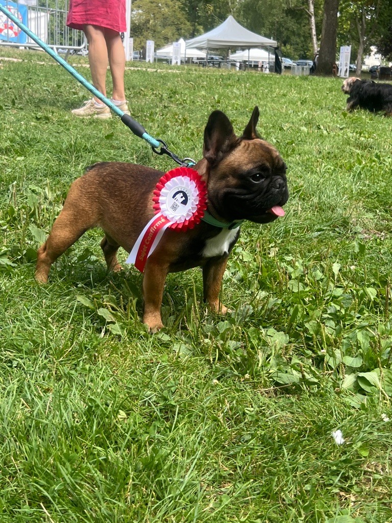 Vuitton The Kingdom Of The Little Red Kings